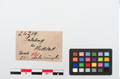 Etiketten zu Eisenhaken (NHMW-PRAE-024219)
